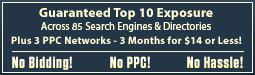 Top 10 Site Site Positioning Across 100's of Search Engines